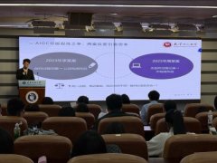 被告因提交了完整的提醒词列表、参数及多轮迭 
